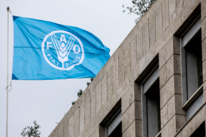 fao fiat